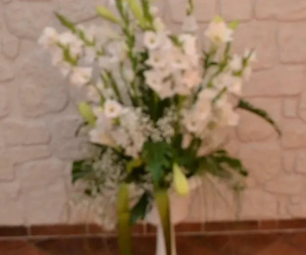 Apartamento Edelweiss *