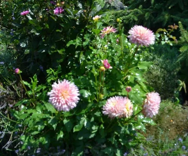 Apartamento Edelweiss Egsdorf